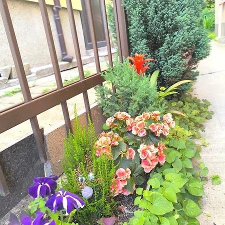 Compass- Super Center Apartament