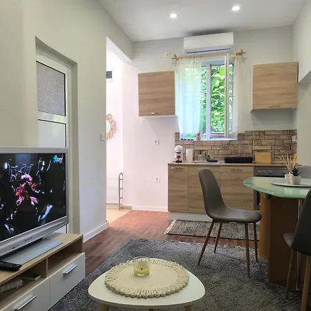 Compass- Super Center Apartament *