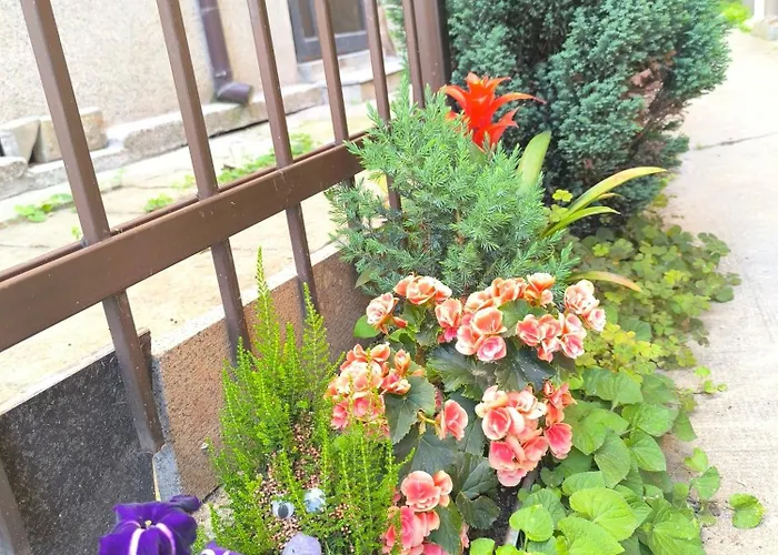 Compass- Super Center Appartamento