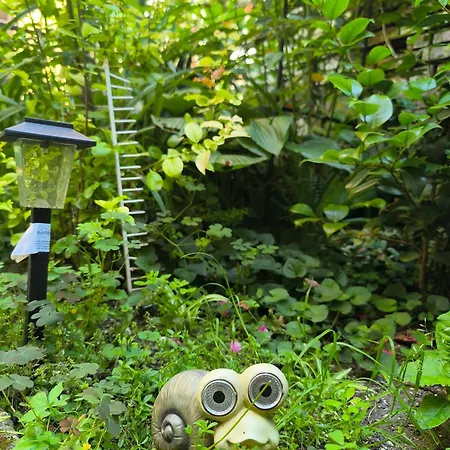 شقة Compass- Super Center