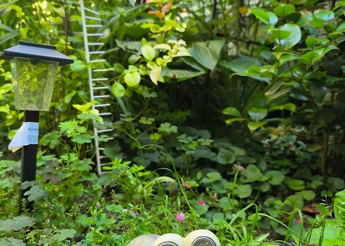 Апартамент Compass- Super Center